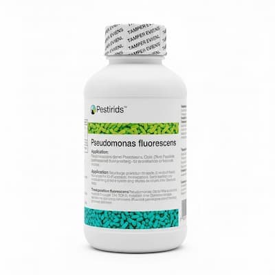 Pseudomonas fluorescens